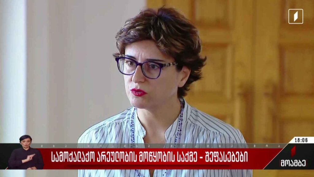 სამოქალაქო არეულობის მოწყობის საქმე – შეფასებები