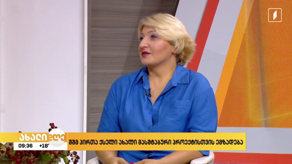 შშმ პირთა ქსელი მასშტაბური პროექტისთვის ემზადება