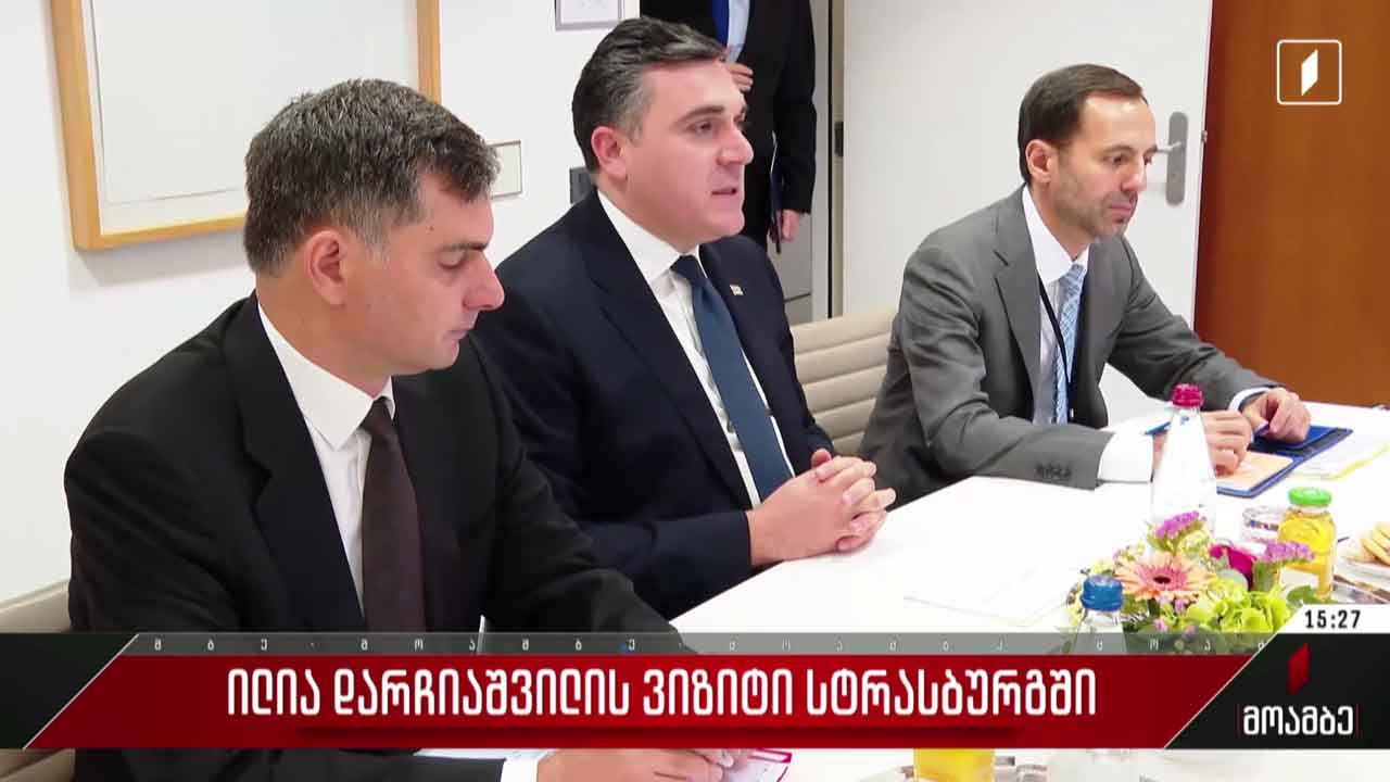ილია დარჩიაშვილის ვიზიტი სტრასბურგში