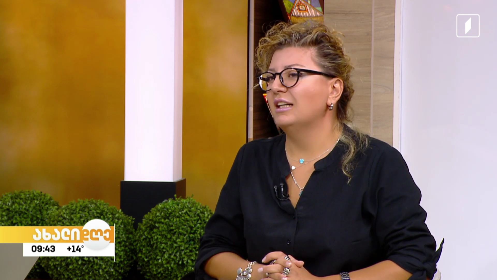 „​ნიჭიერთა ათწლედის“ რეგიონული ტური