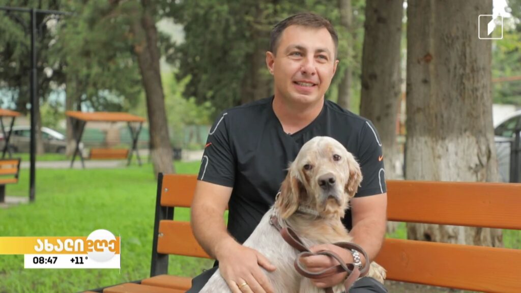 ინგლისური სეტერი ტერის ვოიაჟი რუბრიკაში #აკისპარკი