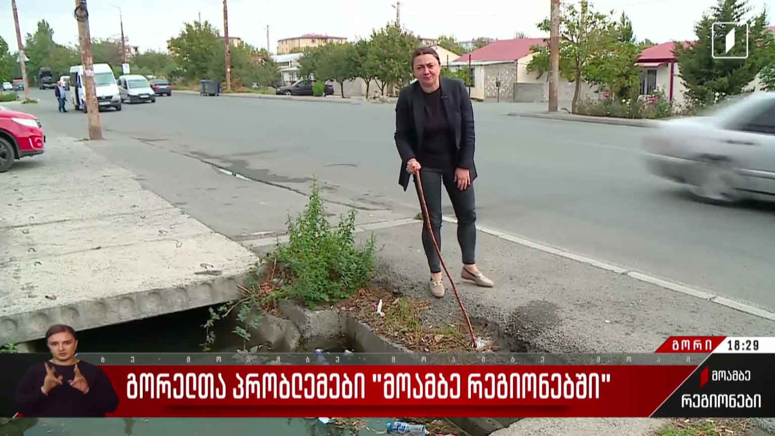 გორელთა პრობლემები „მოამბე რეგიონებში“