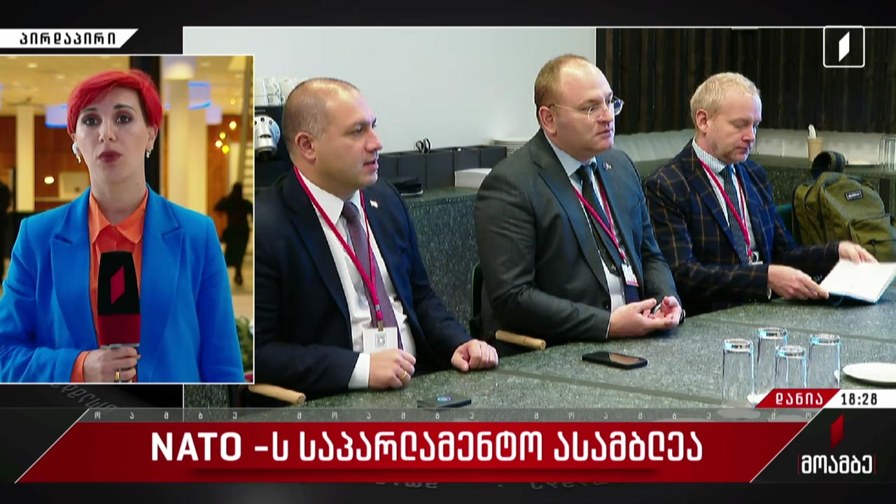 NATO-ს საპარლამენტო ასამბლეა - რა თემები გააჟღერა ქართულმა დელეგაციამ