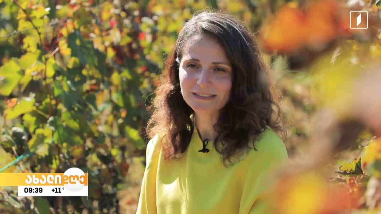 კახური რთველი სოფელ ხაშმში