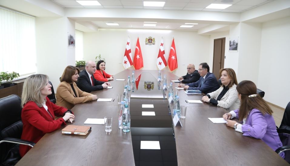 ზურაბ აზარაშვილი თურქეთის მთავარ ომბუდსმენს, შერეფ მალკოჩს შეხვდა