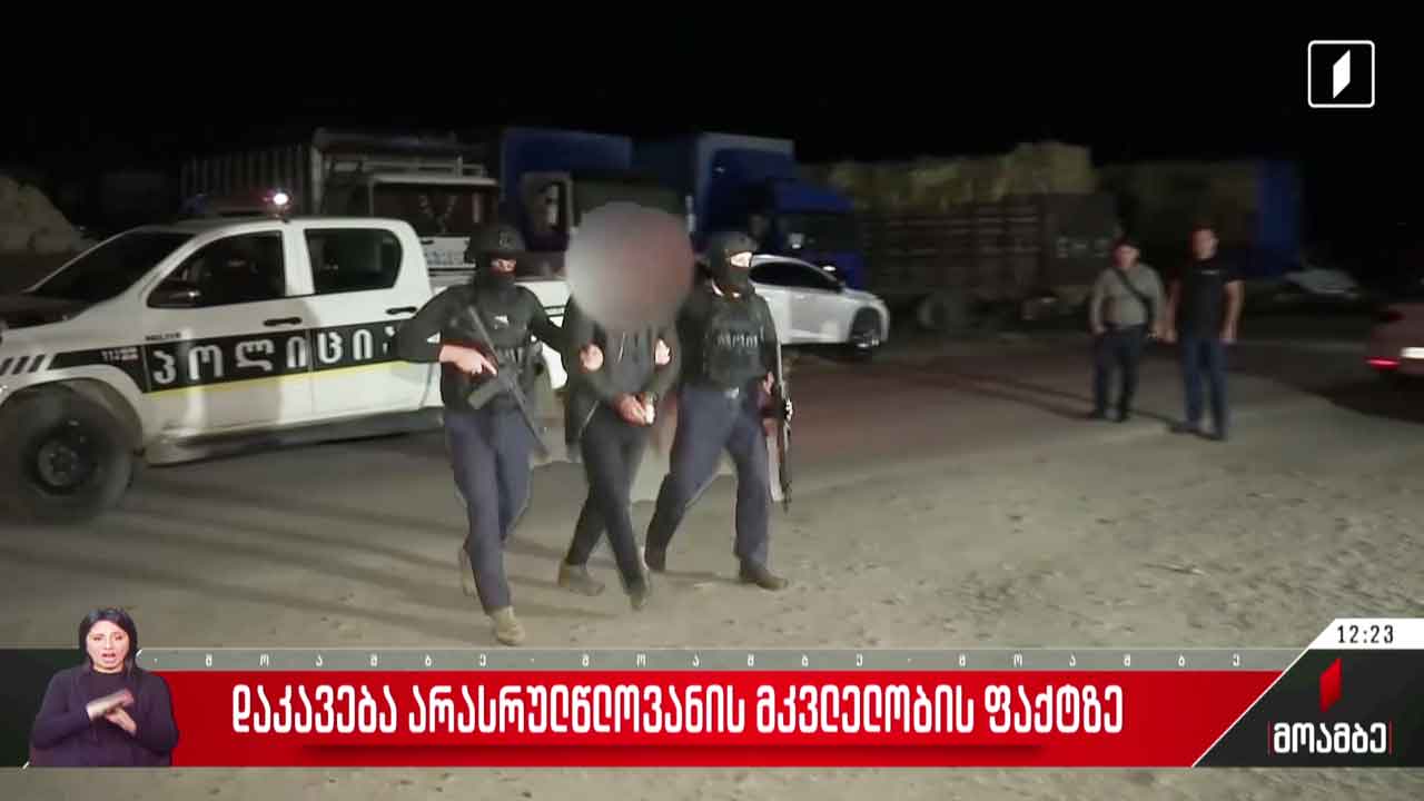 დაკავება არასრულწლოვანის მკვლელობის ფაქტზე