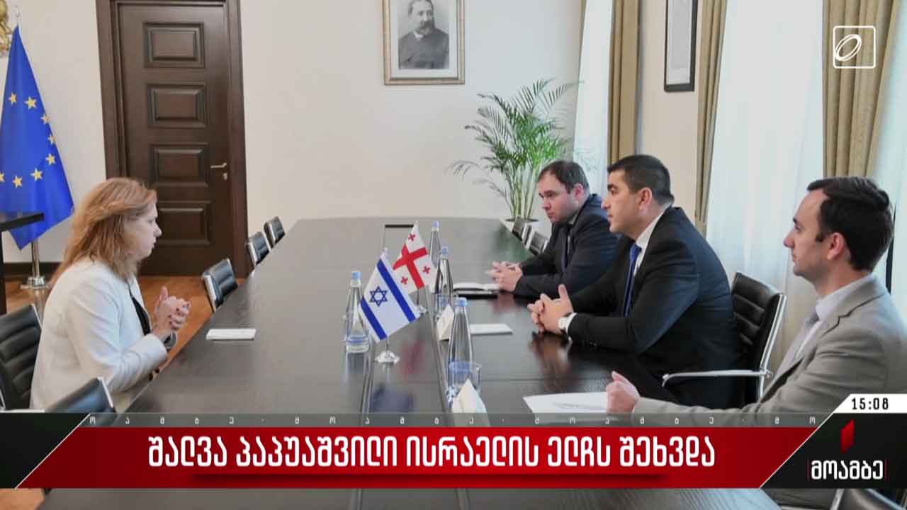 შალვა პაპუაშვილი ისრაელის ელჩს შეხვდა
