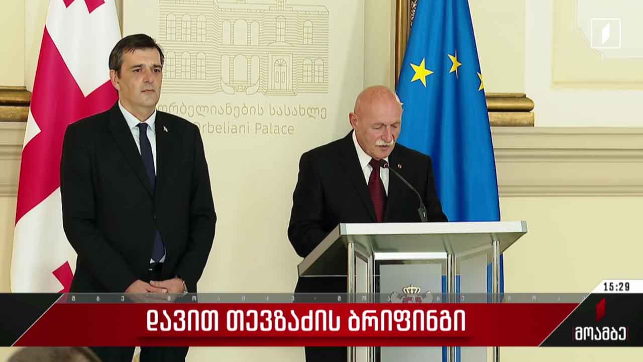 დავით თევზაძის ბრიფინგი