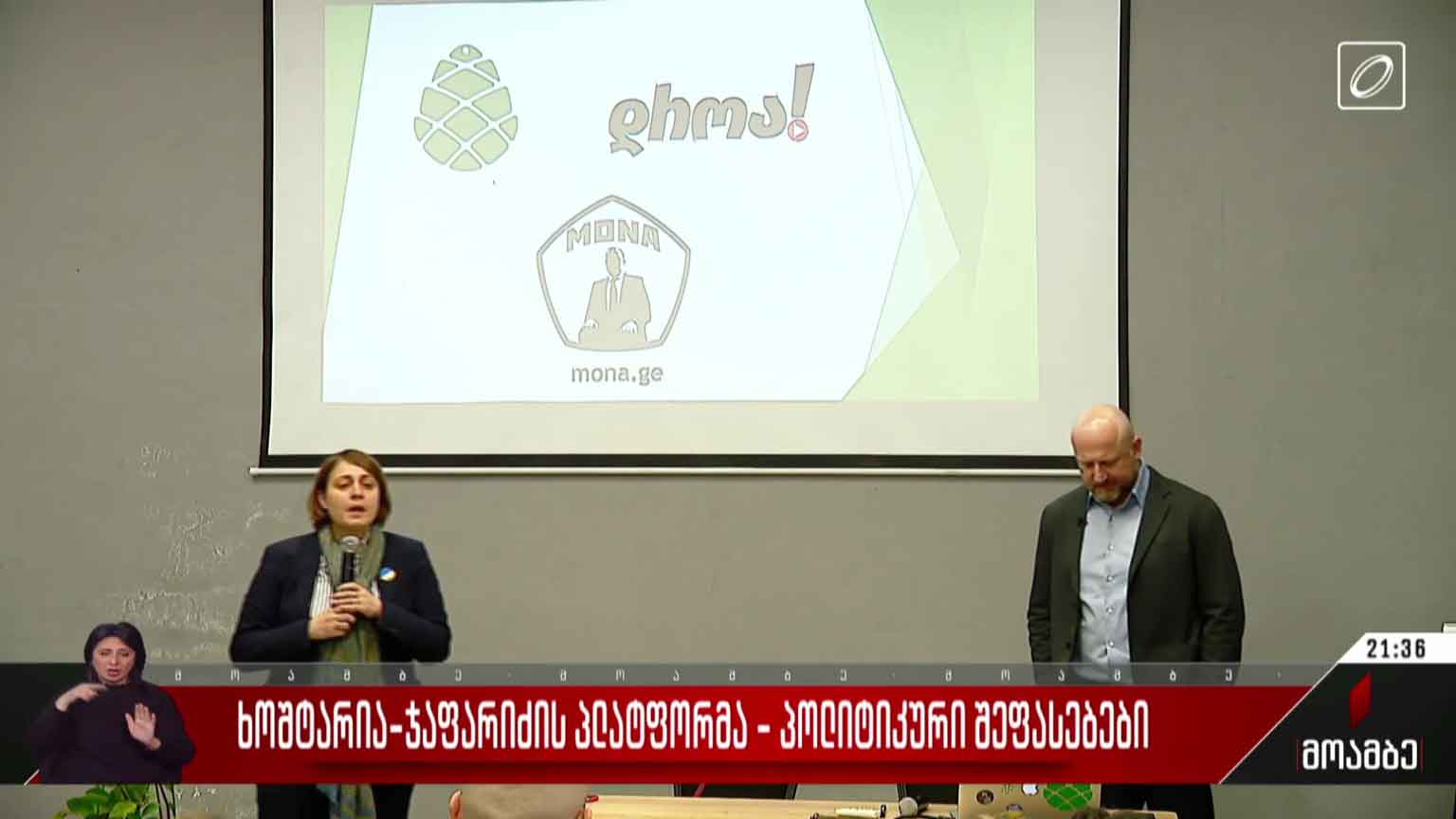 ოპოზიციის პლატფორმა - პოლიტიკური შეფასებები