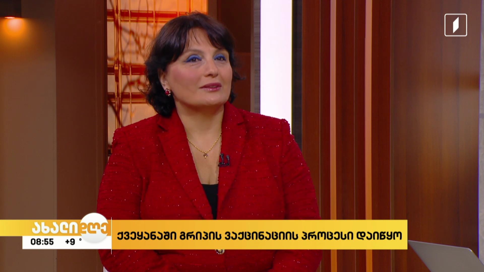 სეზონური გრიპის საწინააღმდეგო ვაქცინაცია 