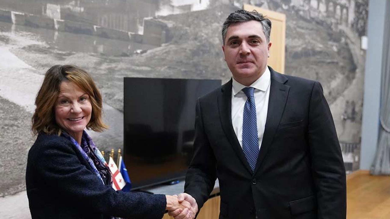 საგარეო საქმეთა მინისტრი აშშ-ის ელჩს შეხვდა