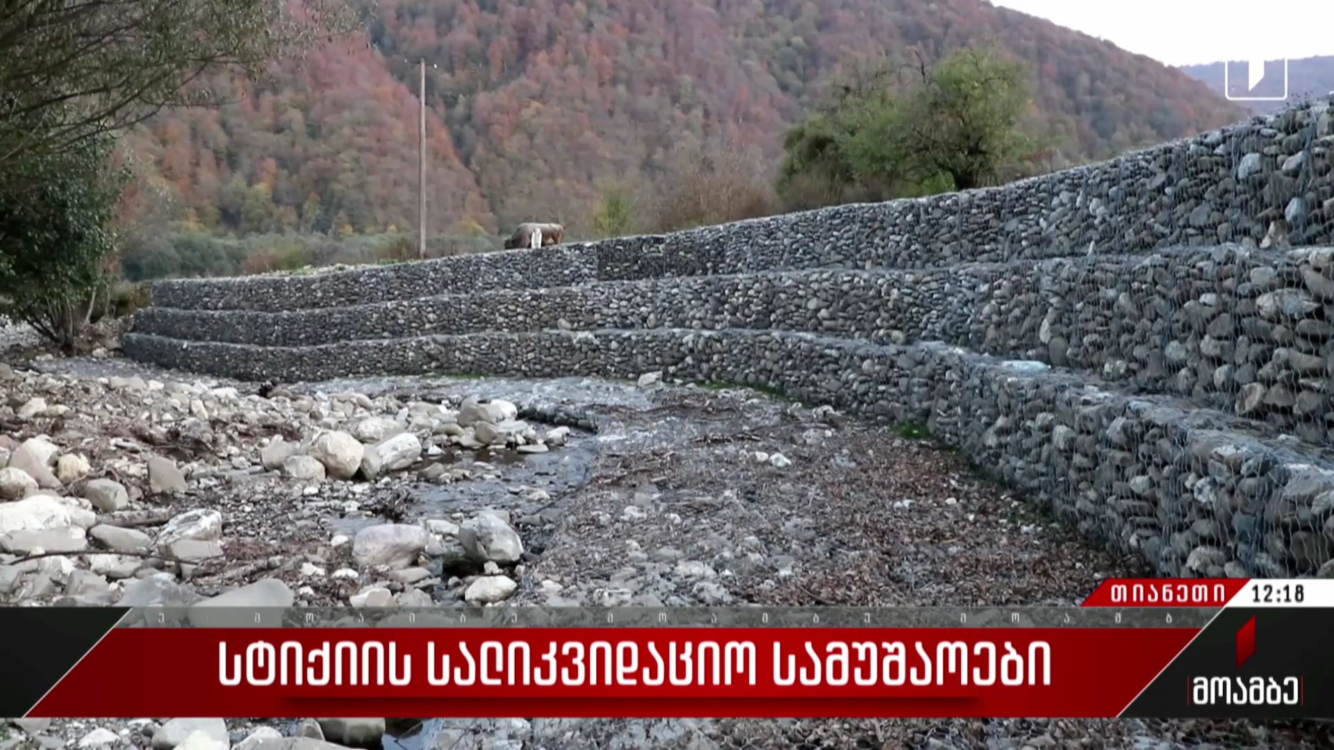 სტიქიის სალიკვიდაციო სამუშაოები