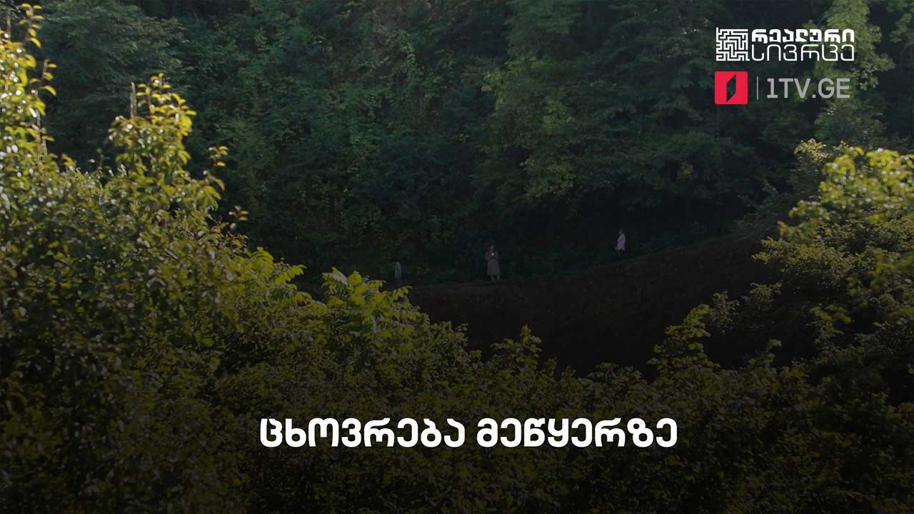 რეალური სივრცე - ცხოვრება მეწყერზე