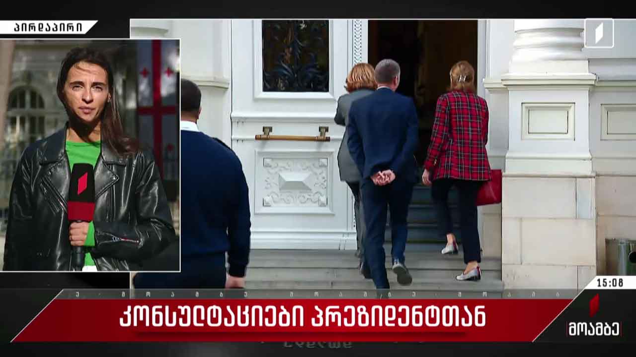 კონსულტაციები პრეზიდენტთან