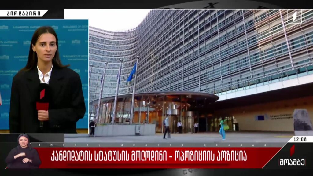 კანდიდატის სტატუსის მოლოდინი – ოპოზიციის პოზიცია