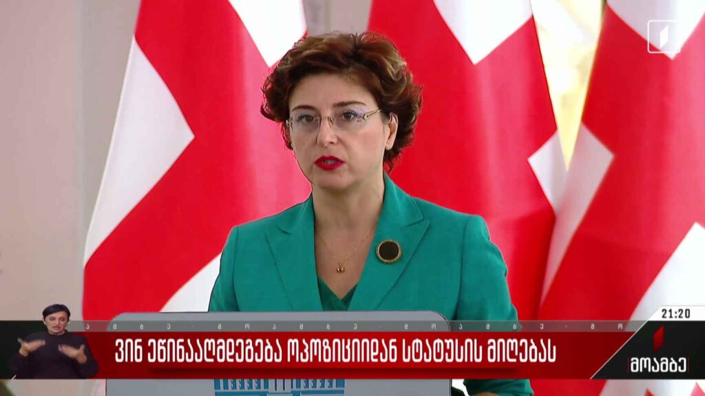 ვინ ეწინააღმდეგება ოპოზიციიდან სტატუსის მიღებას