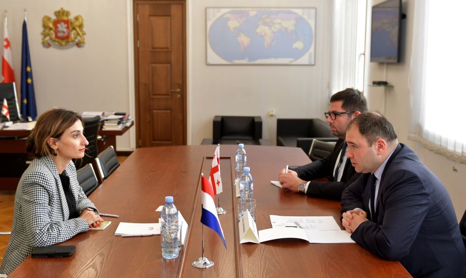 ნიკოლოზ სამხარაძემ ნიდერლანდების ელჩთან შეხვედრა გამართა