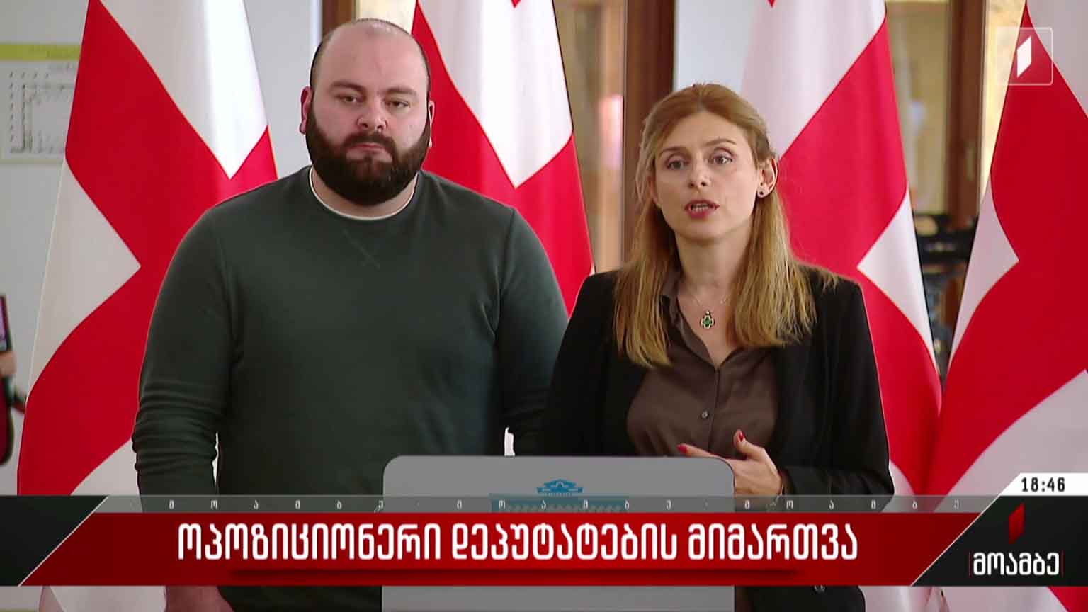 ოპოზიციონერი დეპუტატების მიმართვა