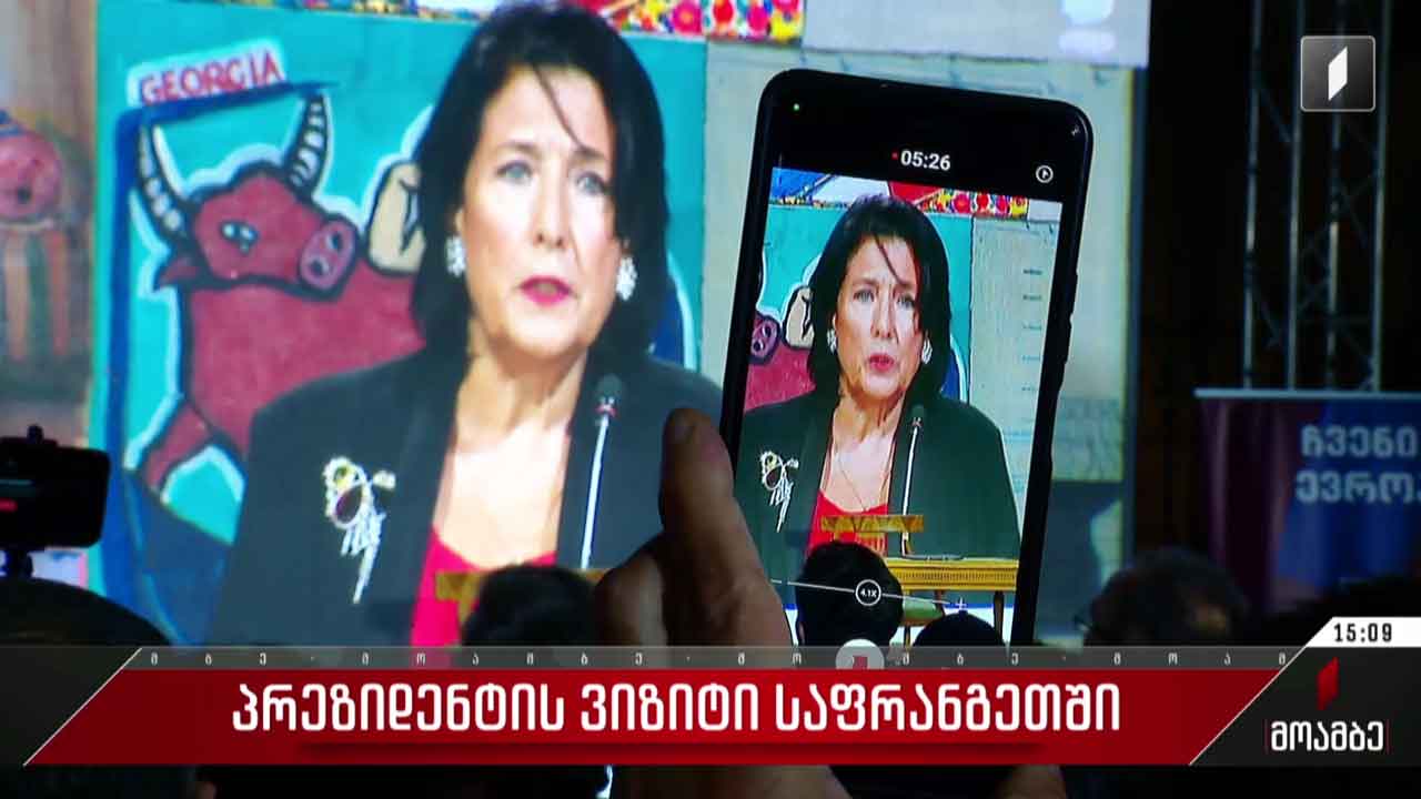 პრეზიდენტი საფრანგეთში გაემგზავრა - შეფასებები პოლიტიკურ სპექტრში