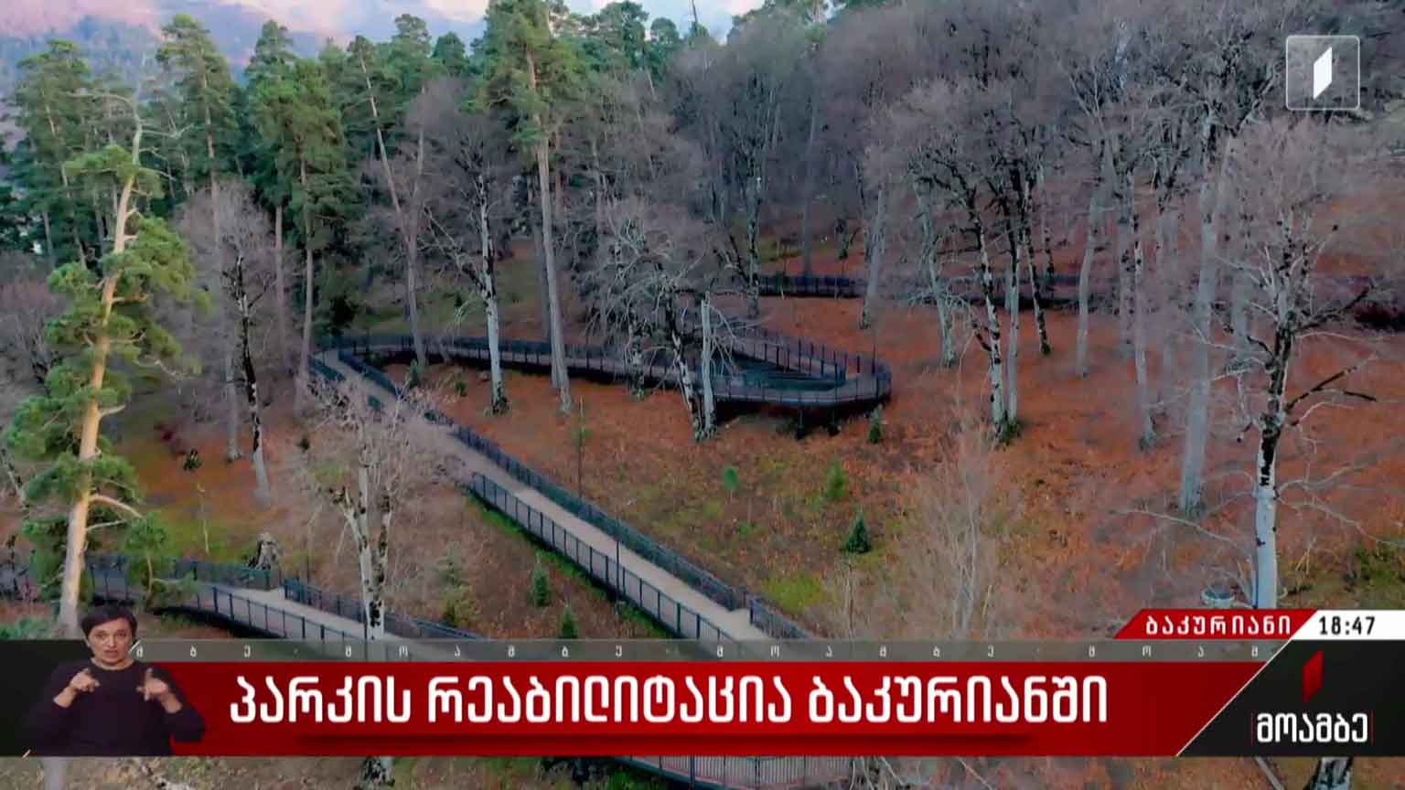 პარკის რეაბილიტაცია ბაკურიანში