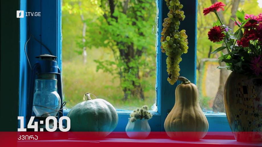 „ფერმა“ – 12 ნოემბერი, 14:00