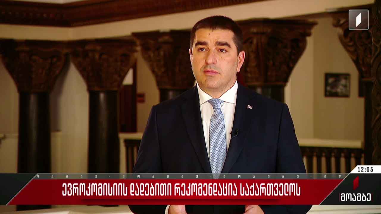 ევროკომისიის დადებითი რეკომენდაცია საქართველოს - შეფასებები