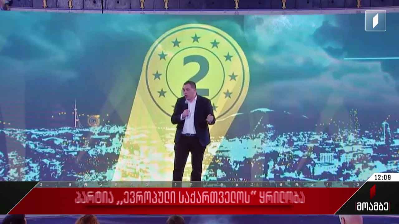 პარტია „ევროპულმა საქართველომ“ყრილობა გამართა