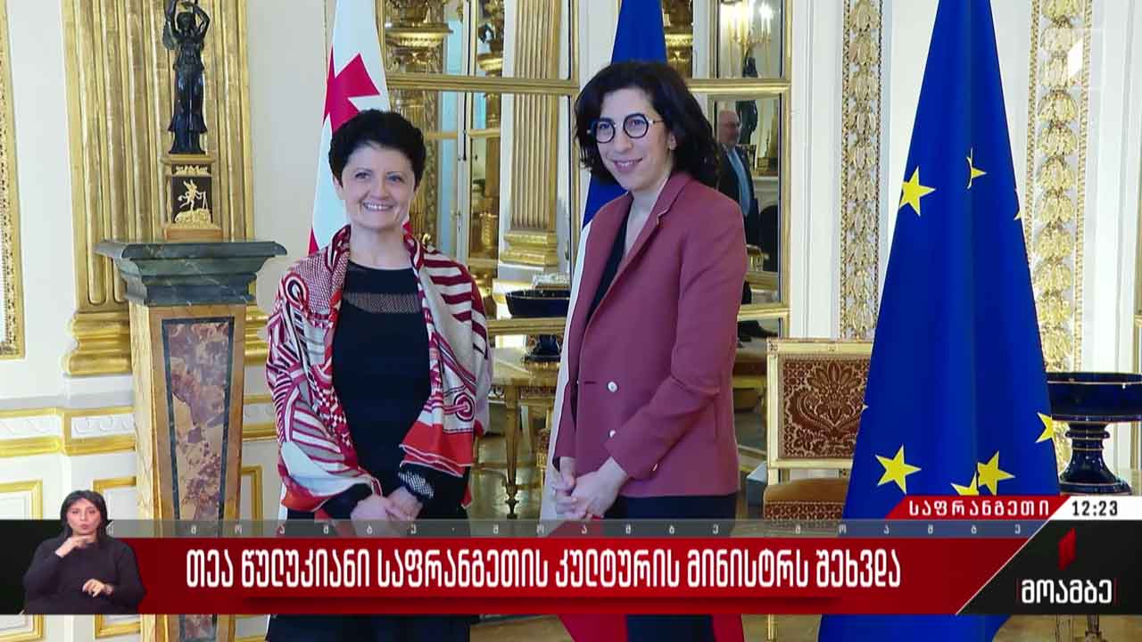 თეა წულუკიანი საფრანგეთის კულტურის მინისტრს შეხვდა