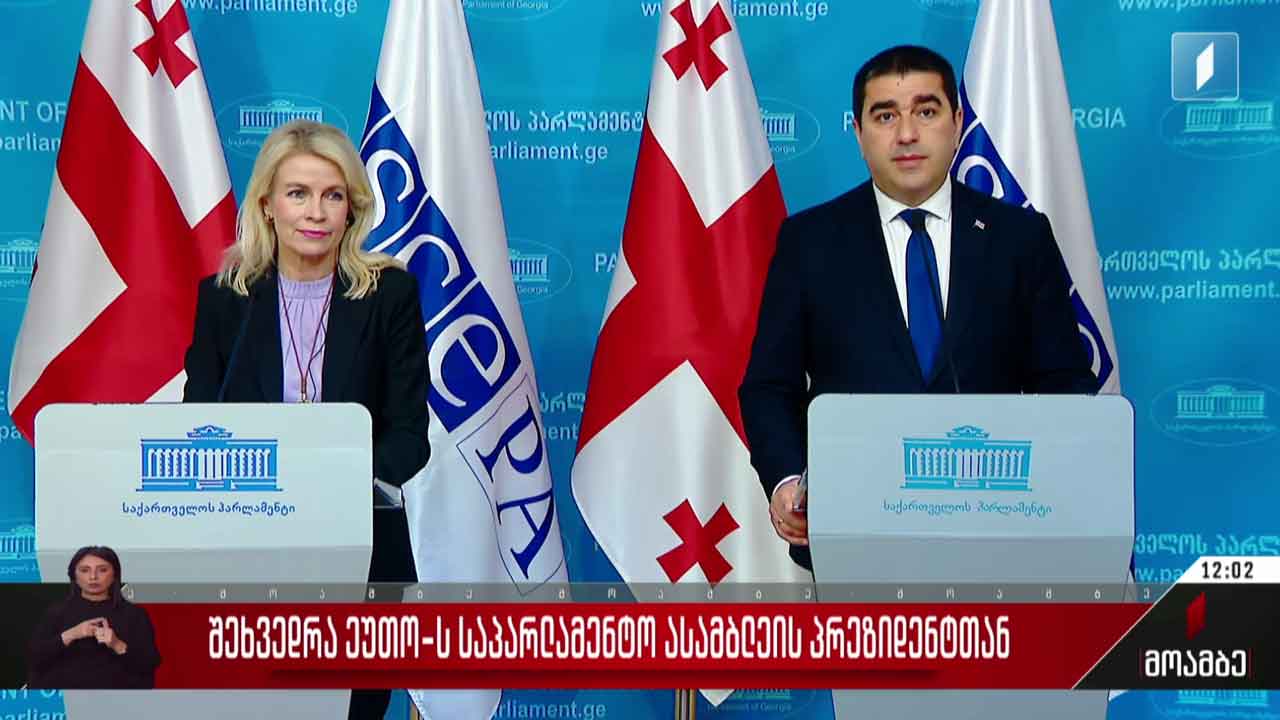 შეხვედრა ეუთო-ს საპარლამენტო ასამბლეის პრეზიდენტთან