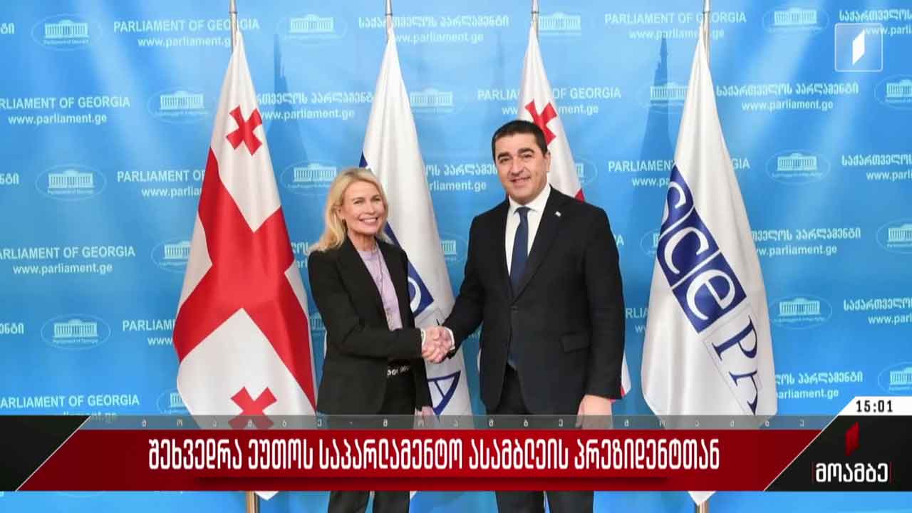შალვა პაპუაშვილის შეხვედრა ეუთო-ს საპარლამენტო ასამბლეის პრეზიდენტთან