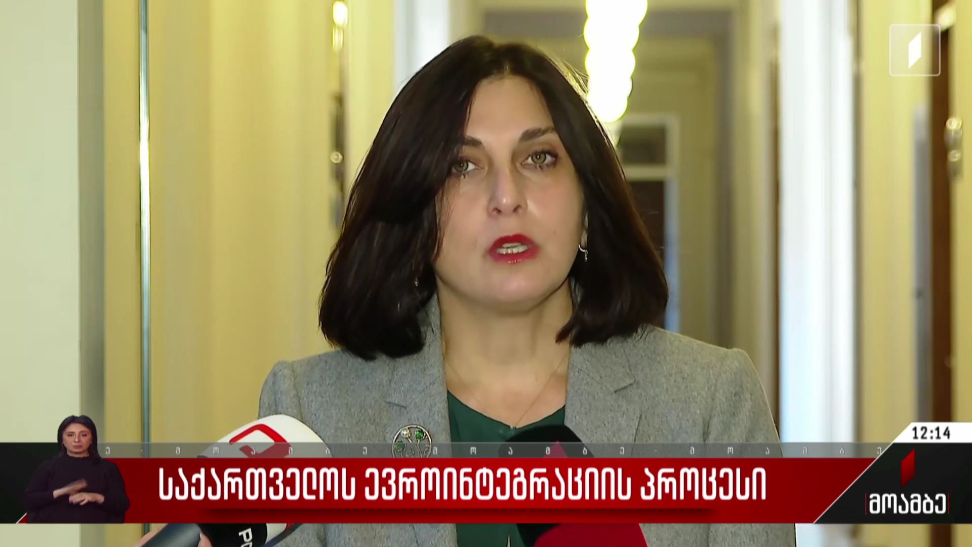 საქართველოს ევროინტეგრაციის პროცესი