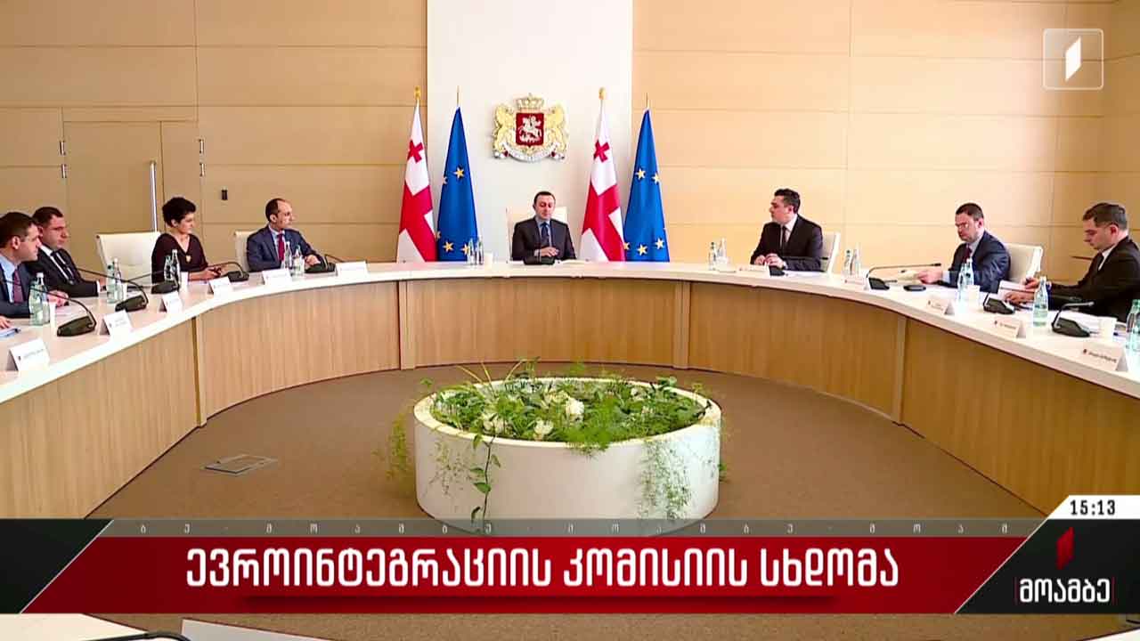 ევროინტეგრაციის კომისიის სხდომა