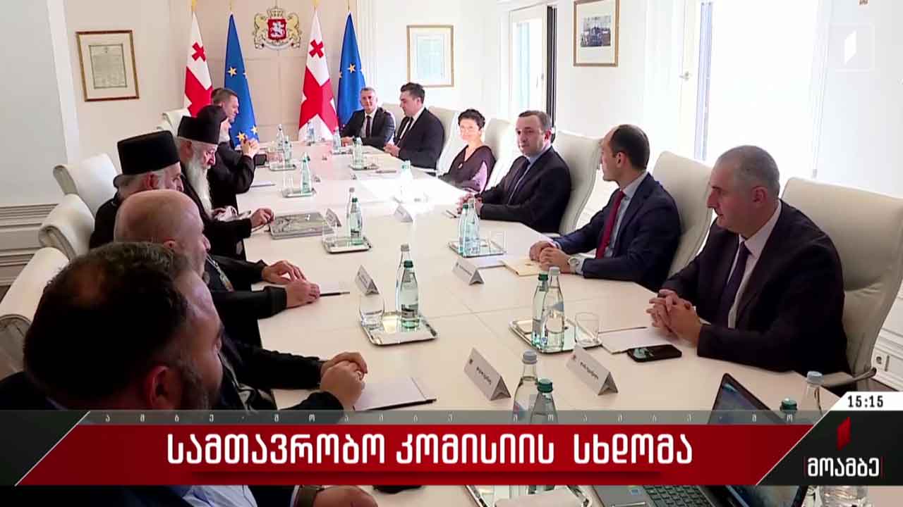 სამთავრობო კომისიის სხდომა