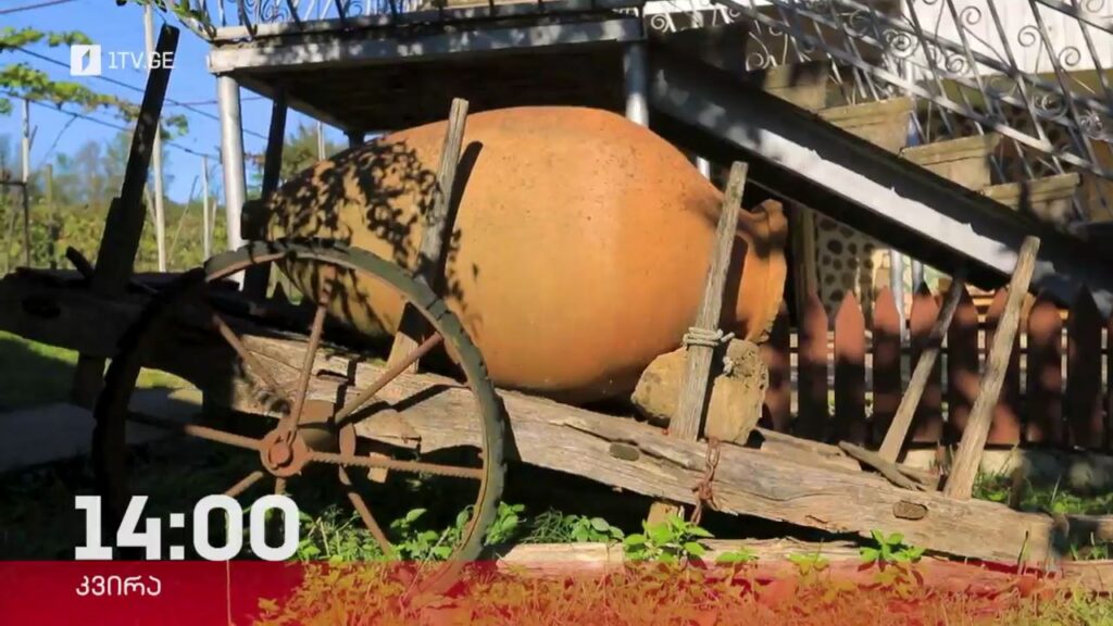 „ფერმა“ – 19 ნოემბერი, 14:00
