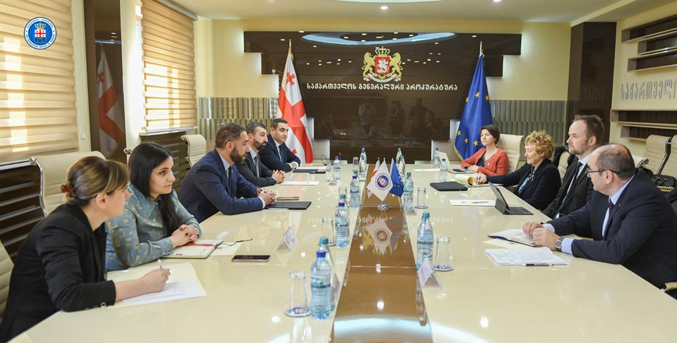 ირაკლი შოთაძე ვენეციის კომისიის დელეგაციას შეხვდა