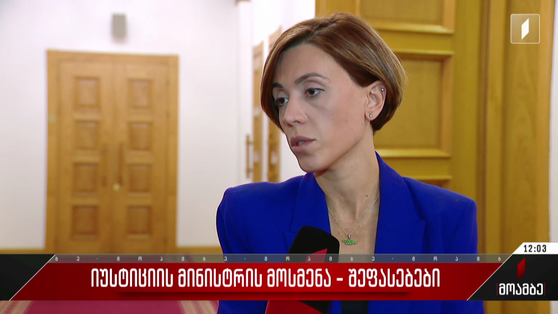 იუსტიციის მინისტრის მოსმენა - შეფასებები პოლიტიკურ სპექტრში