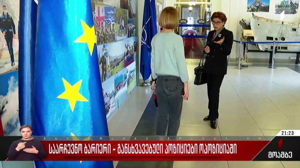 საარჩევნო ბარიერი – განსხვავებული პოზიციები ოპოზიციაში