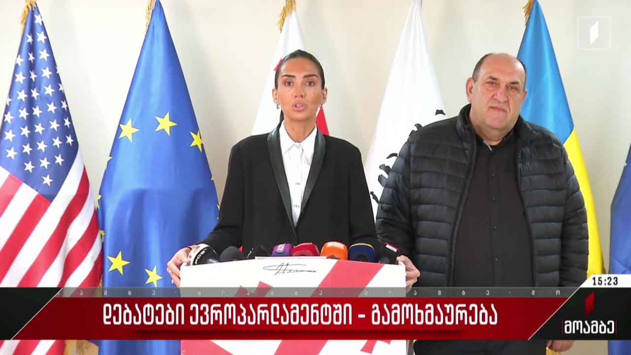 დებატები ევროპარლამენტში - გამოხმაურება