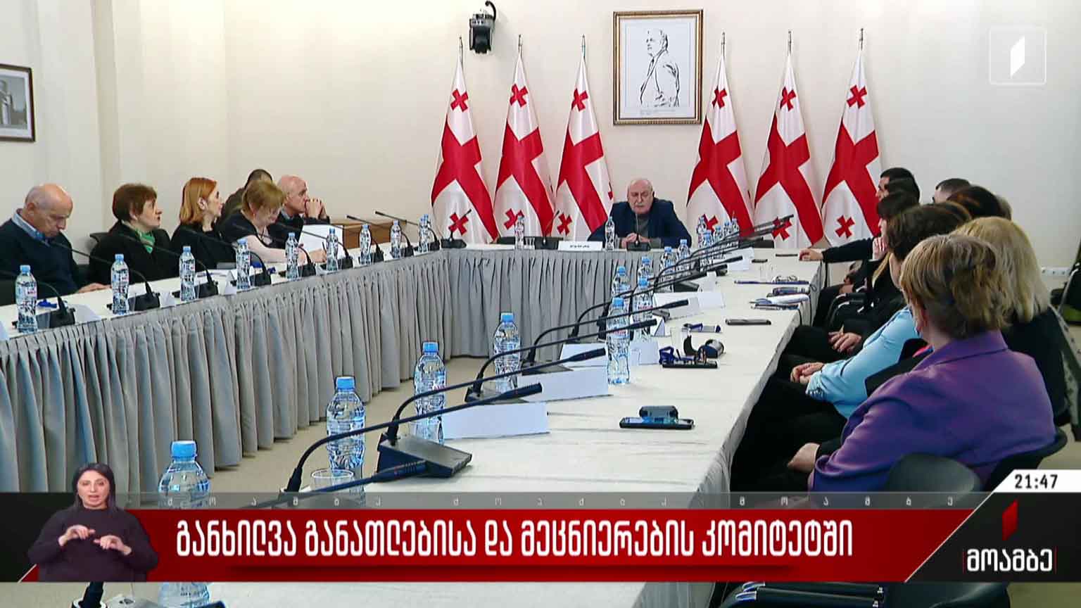 განხილვა განათლებისა და მეცნიერების კომიტეტში