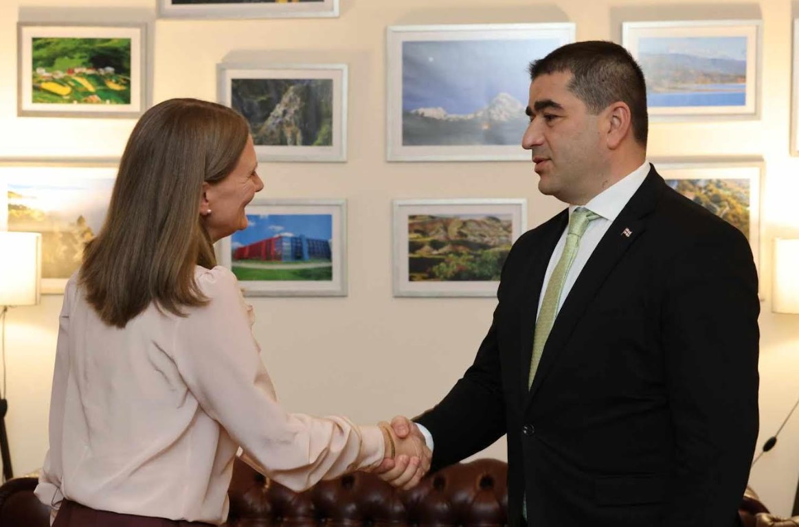 შალვა პაპუაშვილმა შვედეთის ახლად დანიშნულ ელჩთან გაცნობითი შეხვედრა გამართა