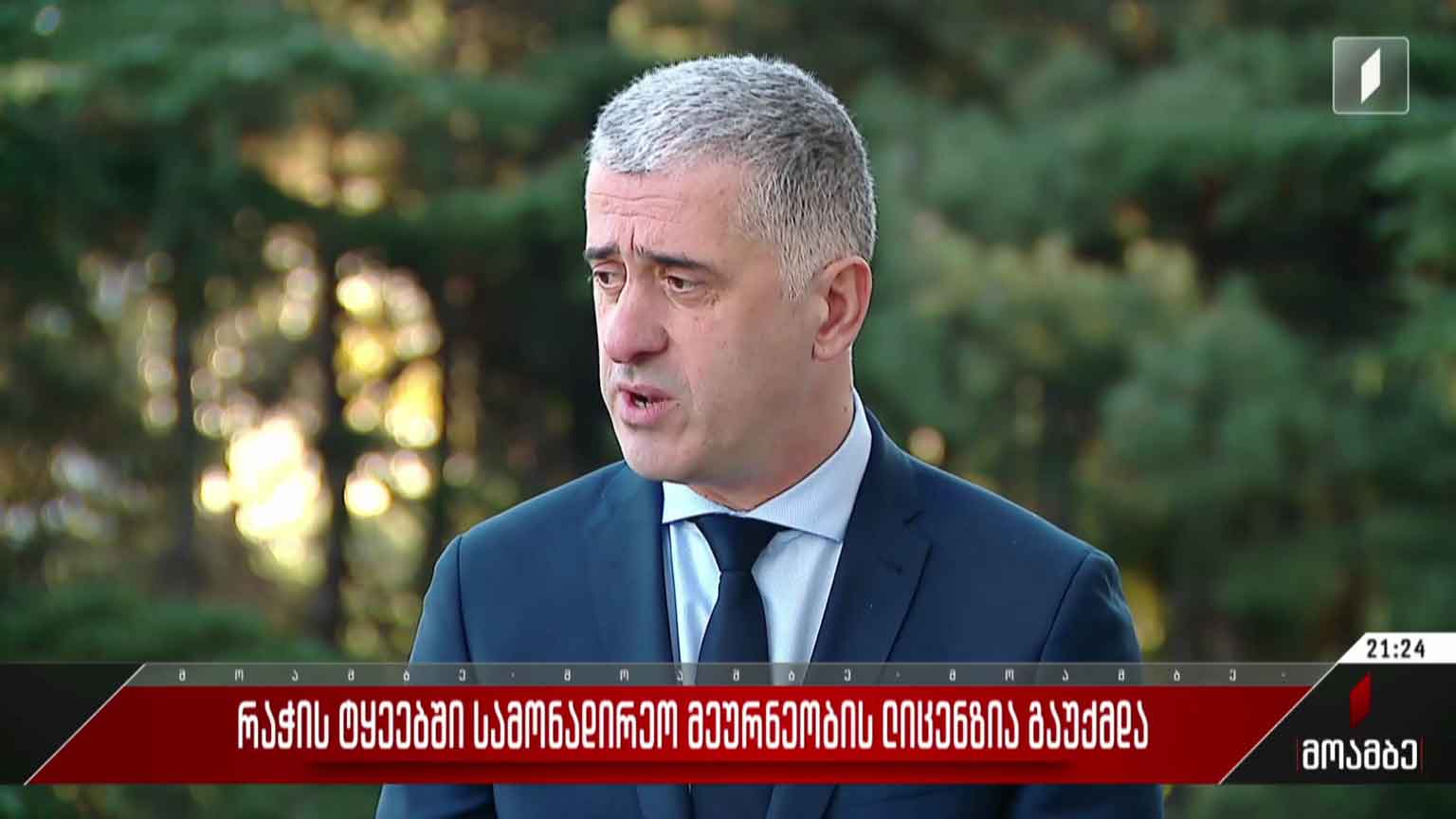 რაჭის ტყეებში სამონადირეო მეურნეობის ლიცენზია გაუქმდა