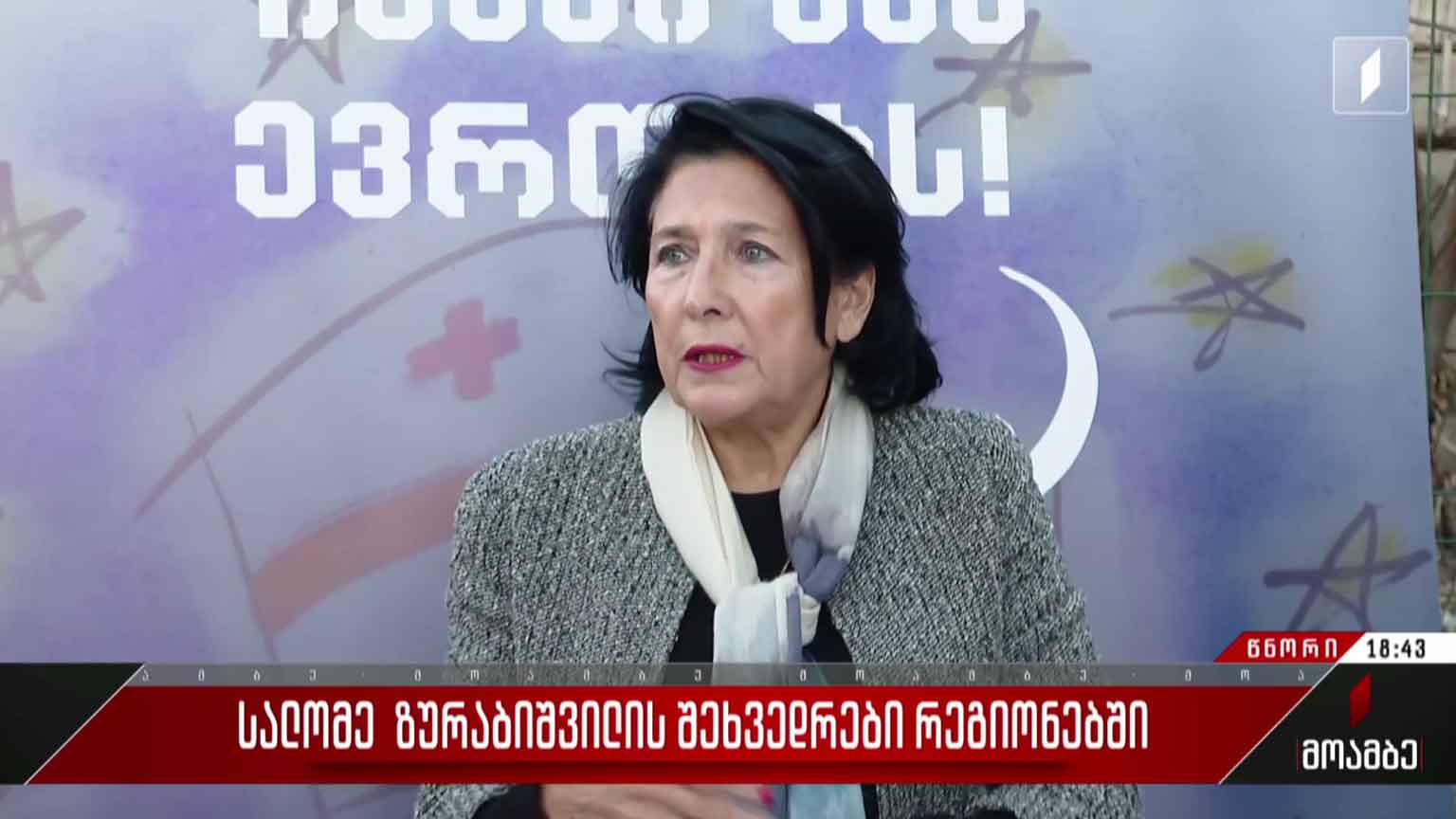 სალომე ზურაბიშვილის შეხვედრები რეგიონებში