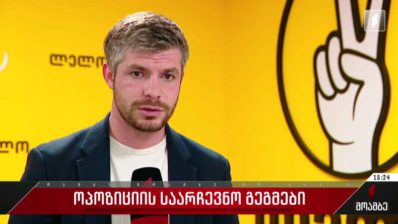ოპოზიციის საარჩევნო გეგმები
