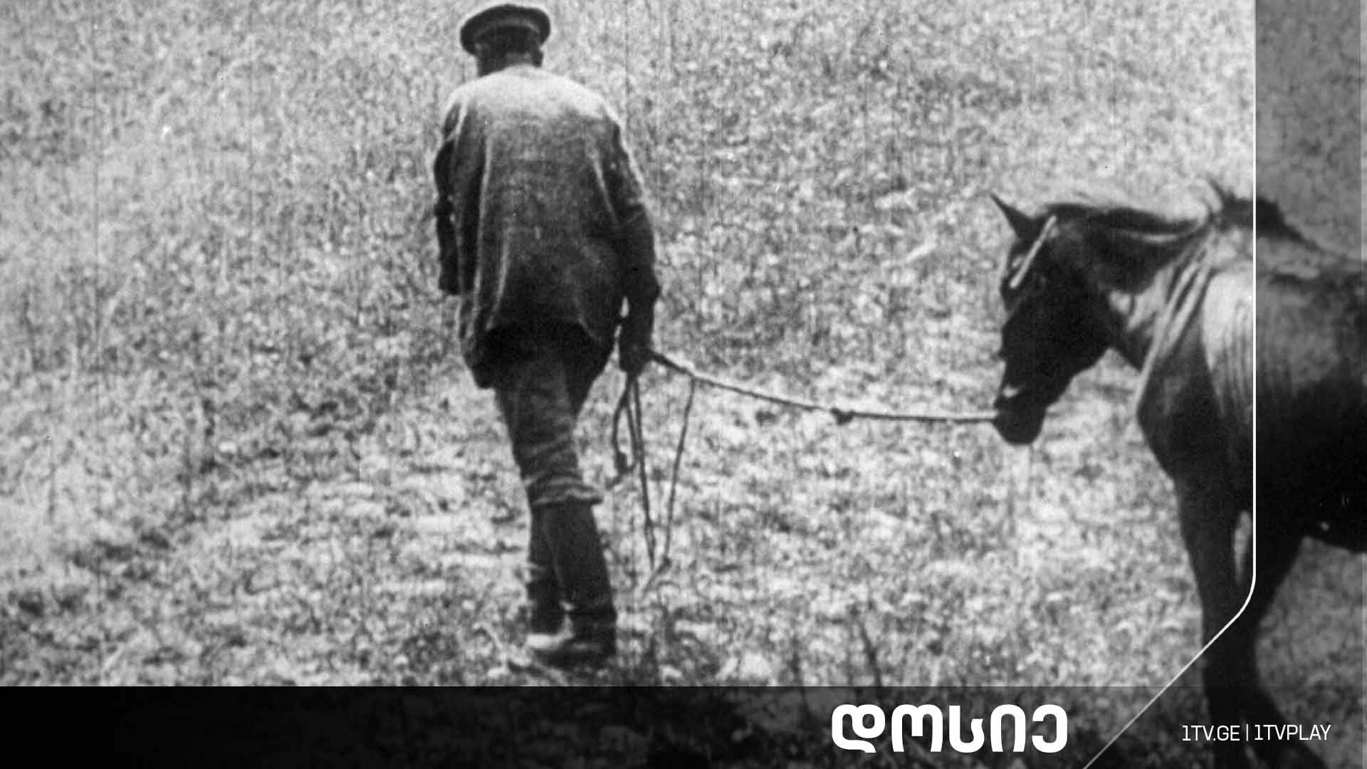 #დოსიე „სისხლიანი მოსავალი, 1933 შიმშილი უკრაინაში“