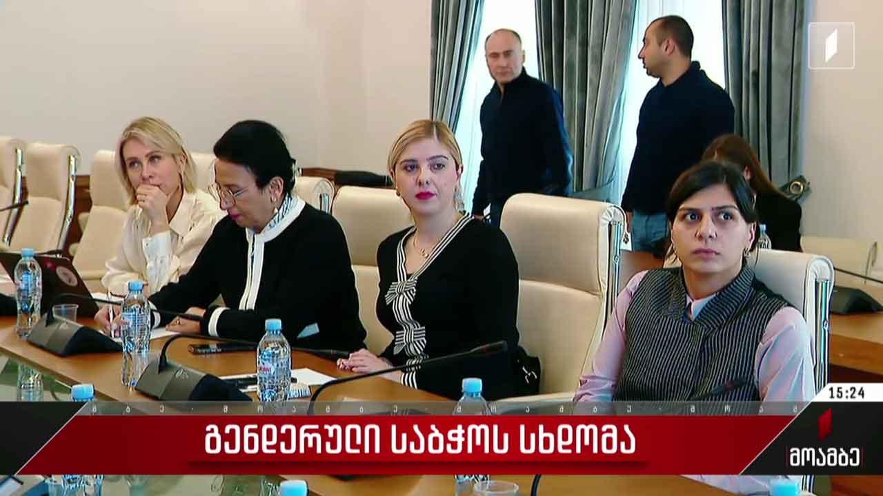 გენდერული საბჭოს სხდომა