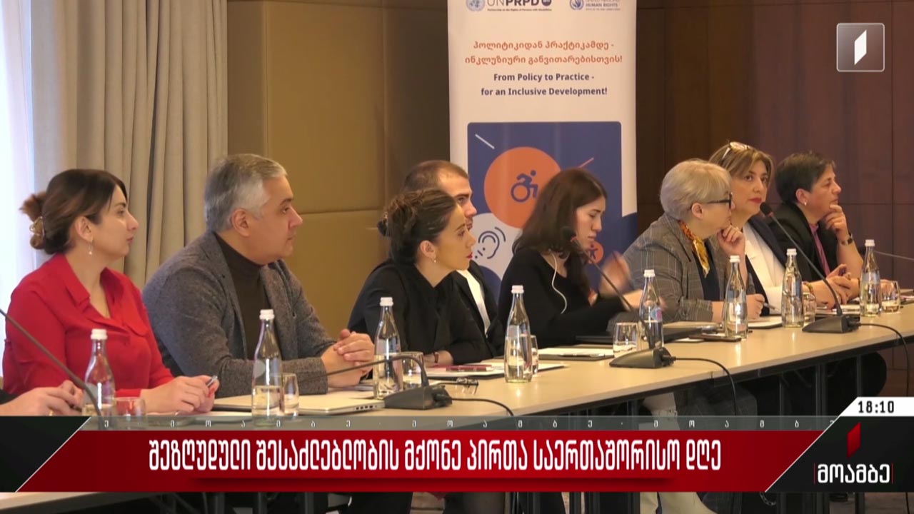 შეზღუდული შესაძლებლობის მქონე პირთა საერთაშორისო დღე