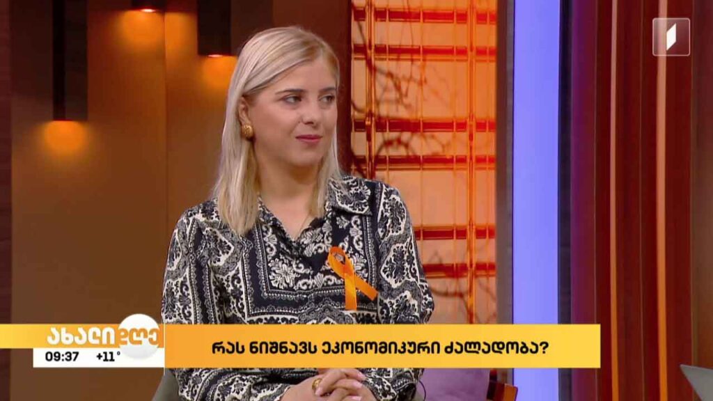 რას ნიშნავს ეკონომიკური ძალადობა?