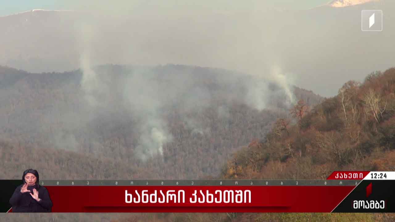 ხანძარი კახეთში
