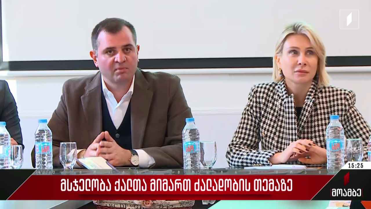 მსჯელობა ქალთა მიმართ ძალადობის თემაზე