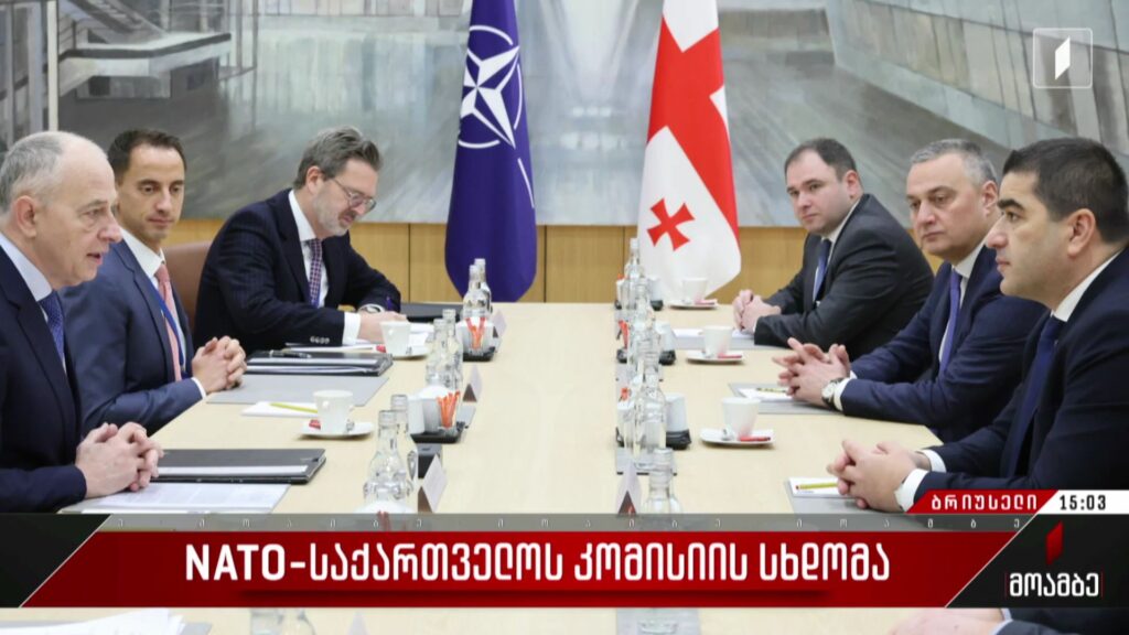NATO-საქართველოს კომისიის სხდომა